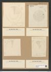 Coscinodiscus lacustris var. septentrionalis (Grun.) Rattr (de-Toni-Nr.: Genus 202, Species 5102) Zeichnungen Sammlung Grunow Nr. 8864 (NHMW-BOT-W0378500)
